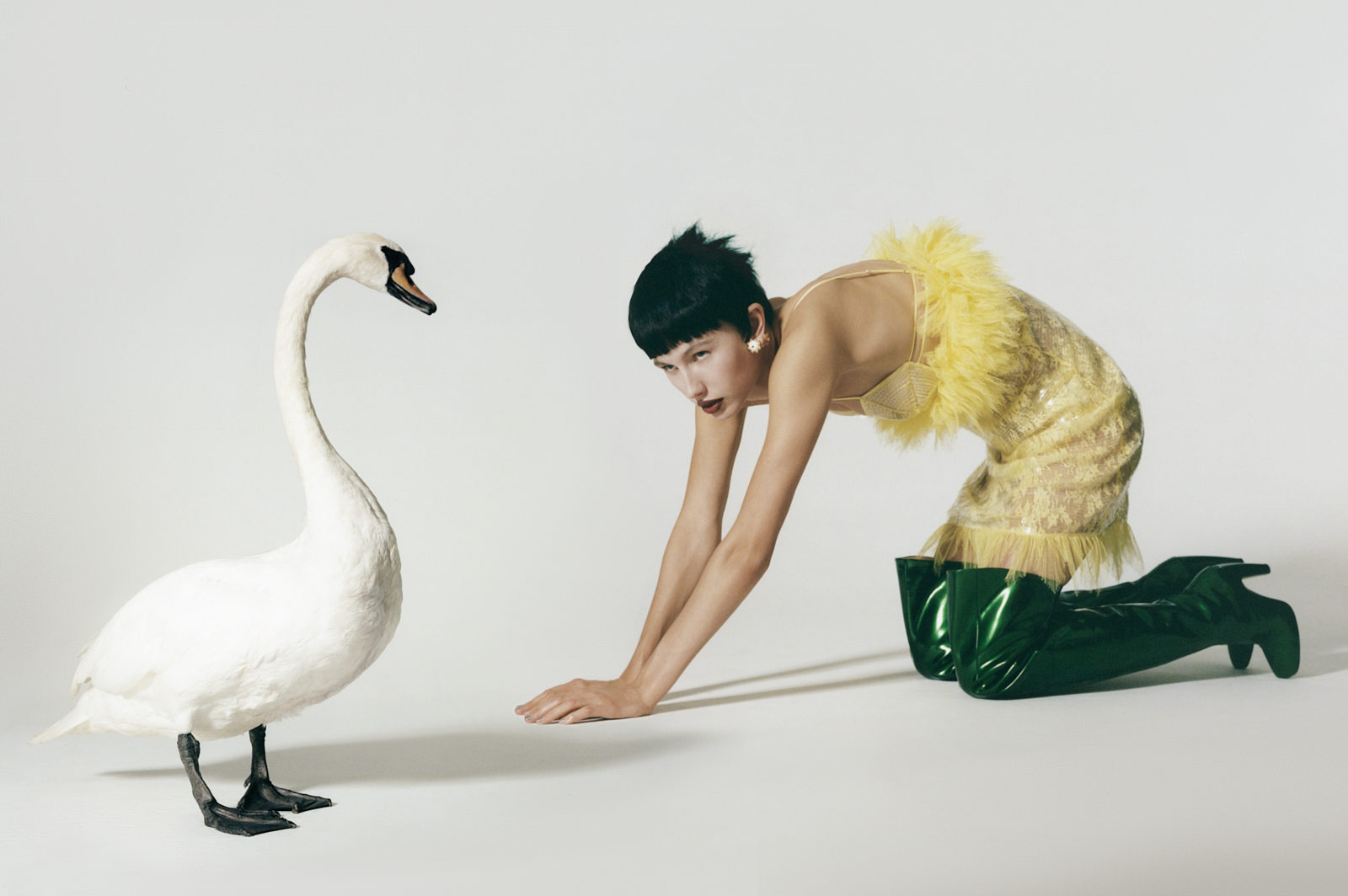 20th anniversary issue